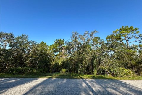 Land in Weeki Wachee, Florida № 1913540 - photo 4