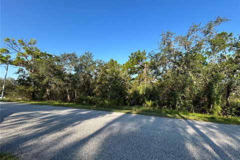 Land in Weeki Wachee, Florida № 1913540 - photo 6