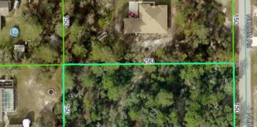 Terreno en Weeki Wachee, Florida № 1913540