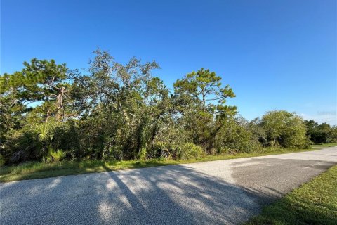 Land in Weeki Wachee, Florida № 1913540 - photo 5