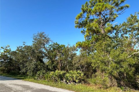 Land in Weeki Wachee, Florida № 1913540 - photo 3