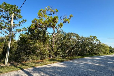 Land in Weeki Wachee, Florida № 1913540 - photo 2