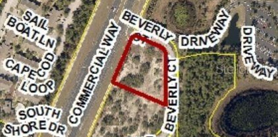 Terreno en Spring Hill, Florida № 1619436