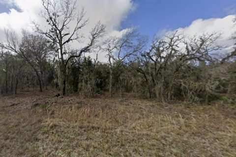 Terrain à Brooksville, Floride № 2109211