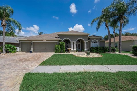 Villa ou maison à Trinity, Floride 5 chambres, 248.98 m2 № 2200177