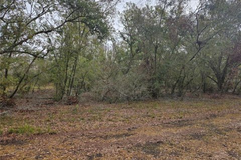 Land in Plant City, Florida № 1546723 - photo 2