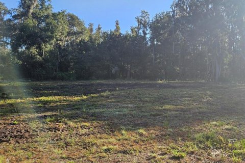 Land in Plant City, Florida № 1546723 - photo 4