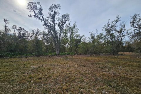 Land in Plant City, Florida № 1546723 - photo 3