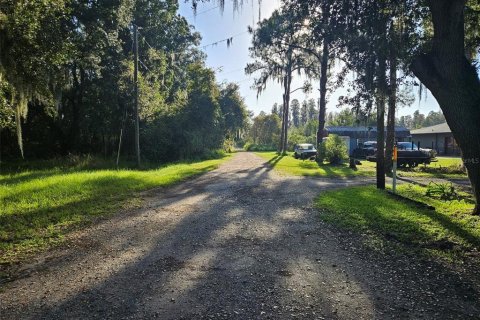 Land in Plant City, Florida № 1546723 - photo 7