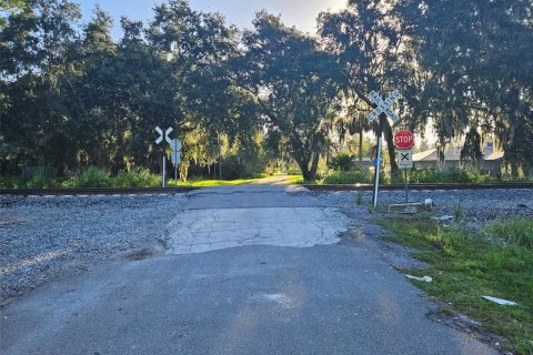 Land in Plant City, Florida № 1546723 - photo 6