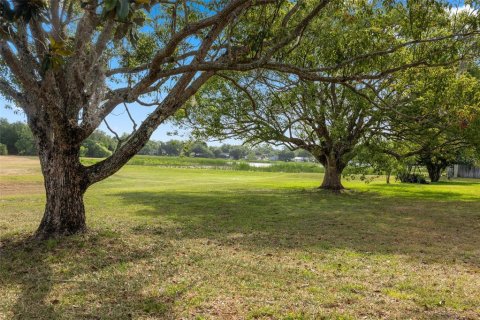 Villa ou maison à vendre à Apopka, Floride: 3 chambres, 157.19 m2 № 2349973 - photo 28