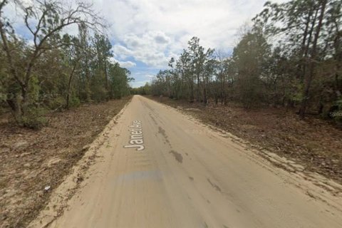 Land in Interlachen, Florida № 2165100 - photo 2