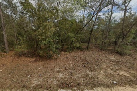 Land in Interlachen, Florida № 2165100