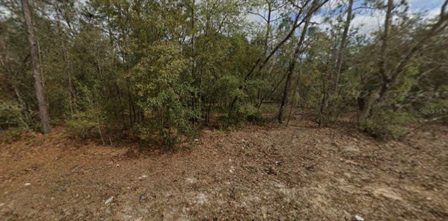 Land in Interlachen, Florida № 2165100