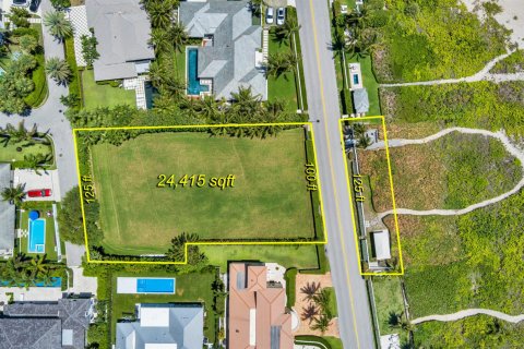 House in Palm Beach, Florida 7 bedrooms, 626.81 sq.m. № 2181423 - photo 8