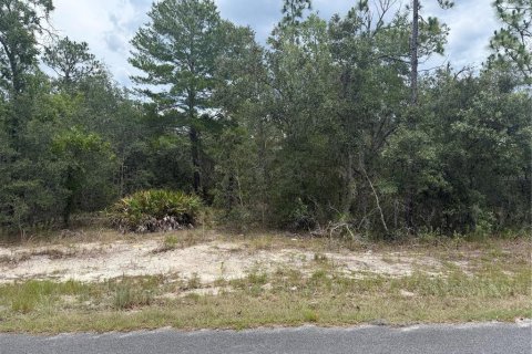 Terreno en venta en Homosassa, Florida № 2113975 - foto 3