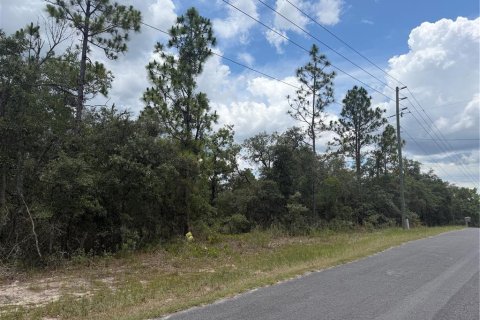 Terreno en venta en Homosassa, Florida № 2113975 - foto 4