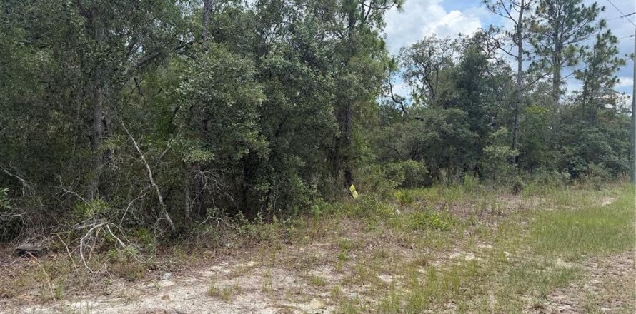 Terreno en Homosassa, Florida № 2113975
