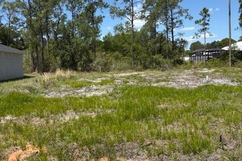 Terrain à Sebring, Floride № 2159281