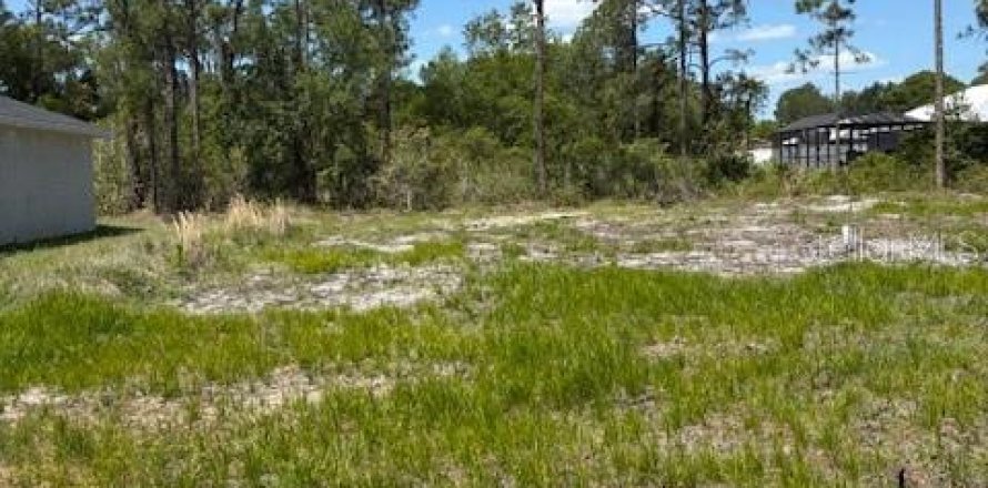 Terrain à Sebring, Floride № 2159281