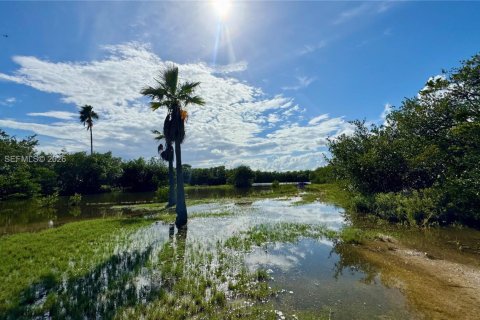House in Merrit Island, Florida 3 bedrooms, 128.11 sq.m. № 1995860 - photo 21