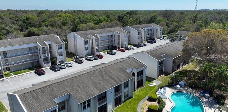 Condo in Clearwater, Florida, 1 bedroom № 2429035