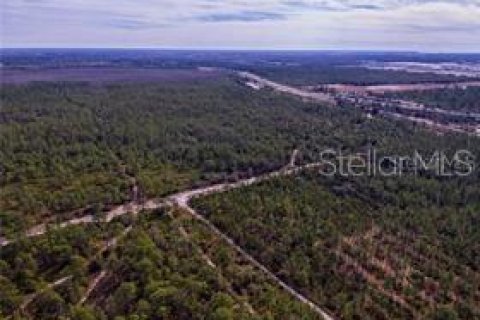 Land in Orlando, Florida № 213714 - photo 8