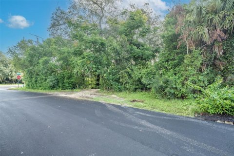 Land in Deltona, Florida № 2118399 - photo 2
