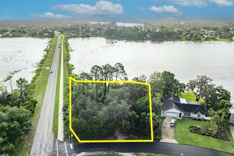 Land in Deltona, Florida № 2118399 - photo 13