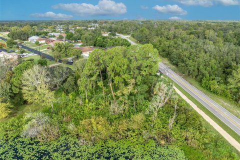 Land in Deltona, Florida № 2118399 - photo 26