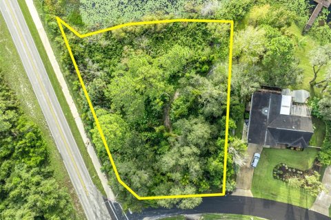 Land in Deltona, Florida № 2118399 - photo 9