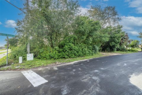 Land in Deltona, Florida № 2118399 - photo 4