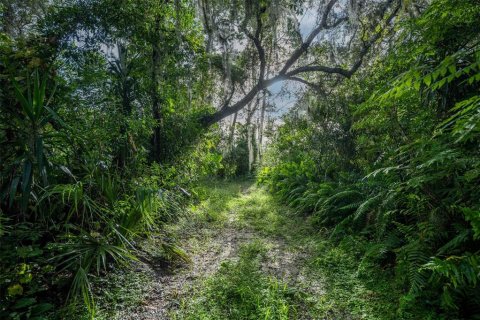 Land in Deltona, Florida № 2118399 - photo 5