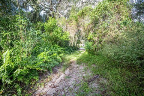 Land in Deltona, Florida № 2118399 - photo 6