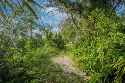 Land in Deltona, Florida № 2118399 - photo 7