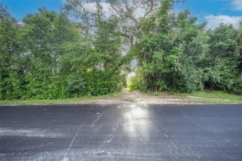 Land in Deltona, Florida № 2118399 - photo 3