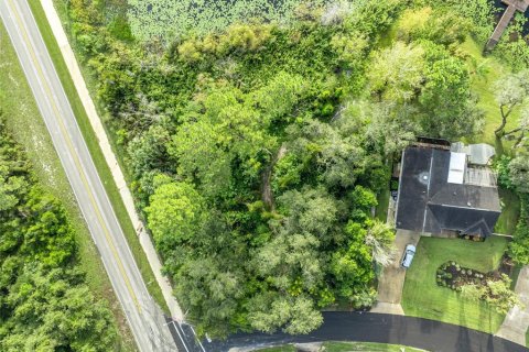 Land in Deltona, Florida № 2118399 - photo 10
