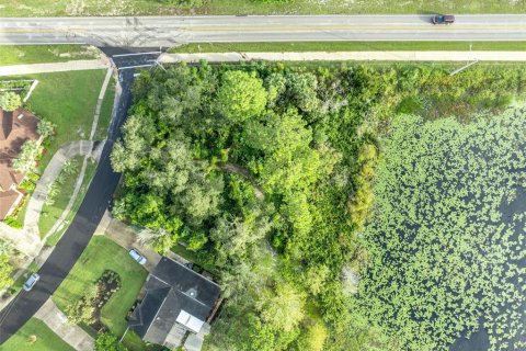 Land in Deltona, Florida № 2118399 - photo 11