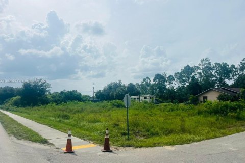 Land in Lehigh Acres, Florida № 2158590 - photo 3