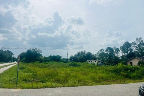 Land in Lehigh Acres, Florida № 2158590 - photo 2