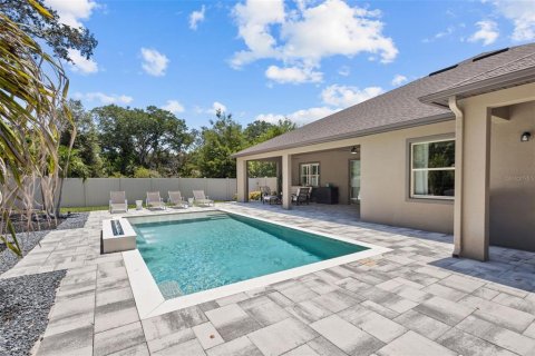 Villa ou maison à vendre à Palm Harbor, Floride: 4 chambres, 306.58 m2 № 1873033 - photo 25