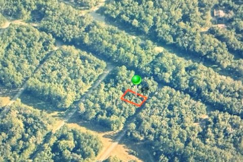 Land in Citrus Springs, Florida № 2164705