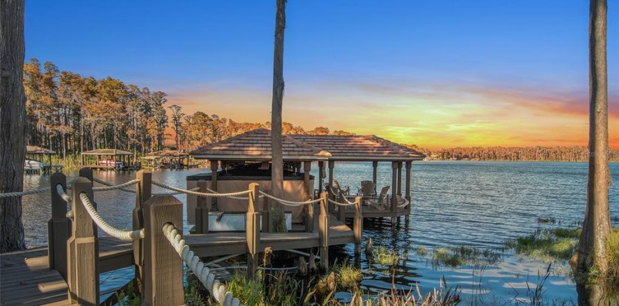 Casa en Windermere, Florida 5 dormitorios, 699.46 m2 № 2100051