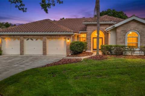 Villa ou maison à Tampa, Floride 4 chambres, 276.38 m2 № 2425703