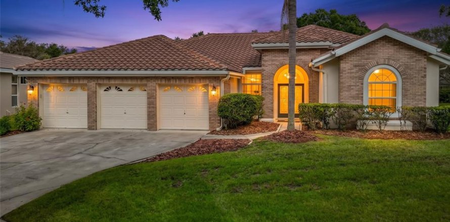 Villa ou maison à Tampa, Floride 4 chambres, 276.38 m2 № 2425703