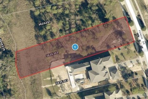 Land in Montverde, Florida № 2316663 - photo 2