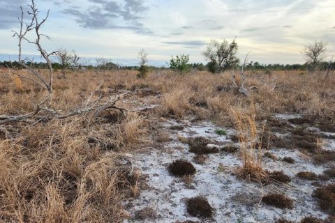 Terreno en venta en Frostproof, Florida № 1555403 - foto 27