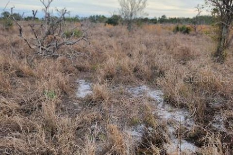 Terreno en venta en Frostproof, Florida № 1555403 - foto 20