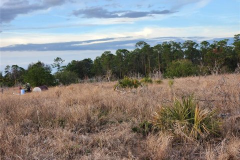 Terreno en venta en Frostproof, Florida № 1555403 - foto 30