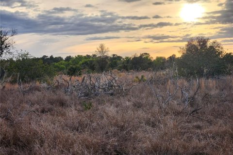 Terreno en venta en Frostproof, Florida № 1555403 - foto 24